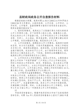 2024年县财政局政务公开自查报告材料