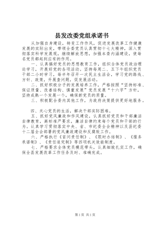 2024年县发改委党组承诺书