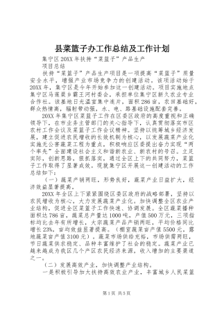 2024年县菜篮子办工作总结及工作计划