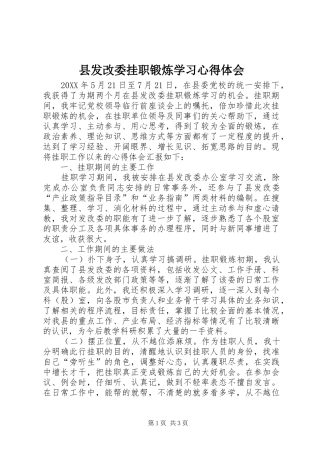 2024年县发改委挂职锻炼学习心得体会