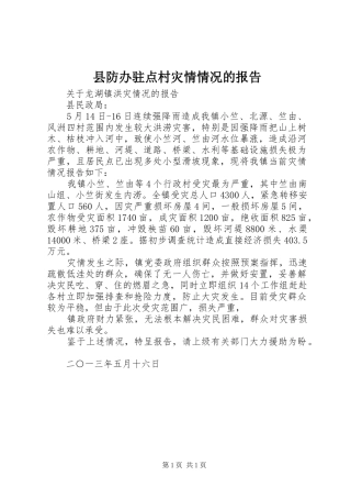 2024年县防办驻点村灾情情况的报告
