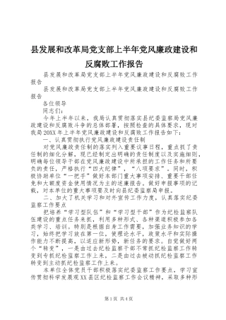 2024年县发展和改革局党支部上半年党风廉政建设和反腐败工作报告