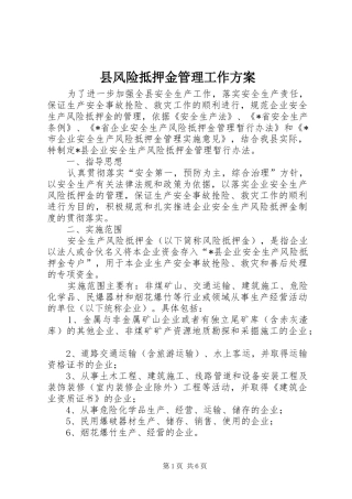 2024年县风险抵押金管理工作方案