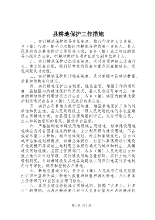 2024年县耕地保护工作措施