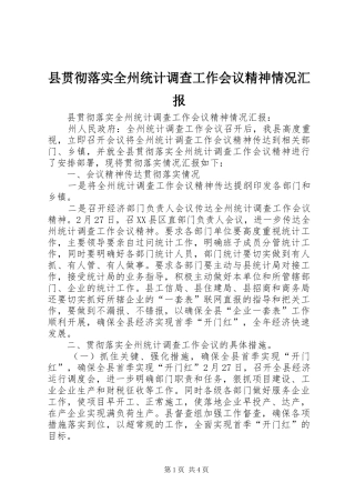 2024年县贯彻落实全州统计调查工作会议精神情况汇报