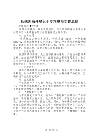 2024年县规划局开展五个专项整治工作总结