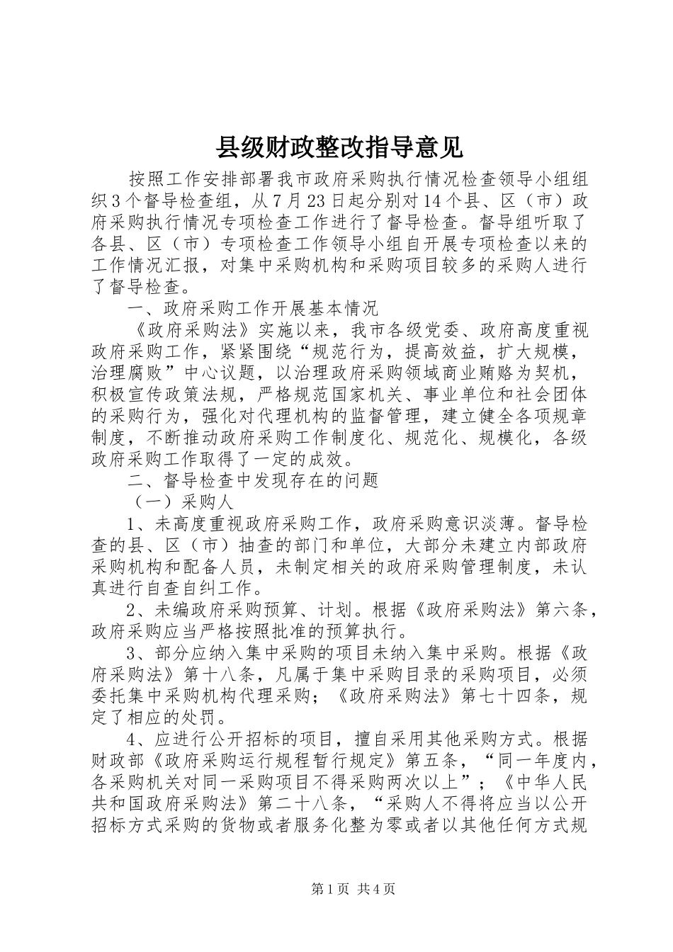 2024年县级财政整改指导意见_第1页