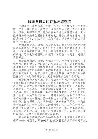 2024年县级调研员的自我总结范文