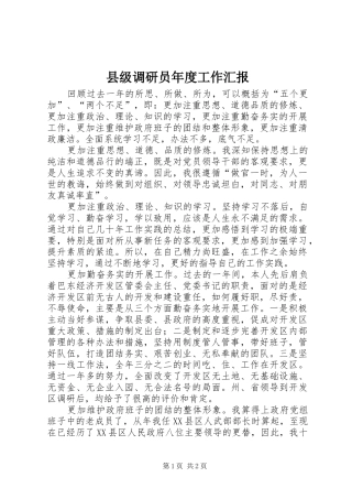 2024年县级调研员年度工作汇报