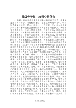 2024年县级骨干集中培训心得体会