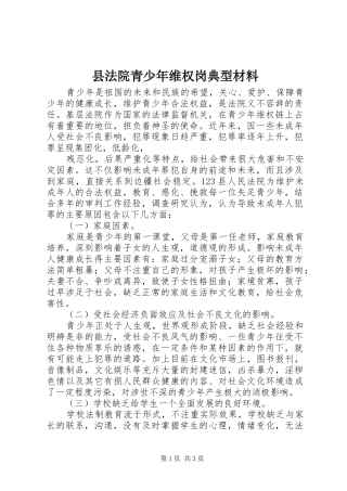 2024年县法院青少年维权岗典型材料