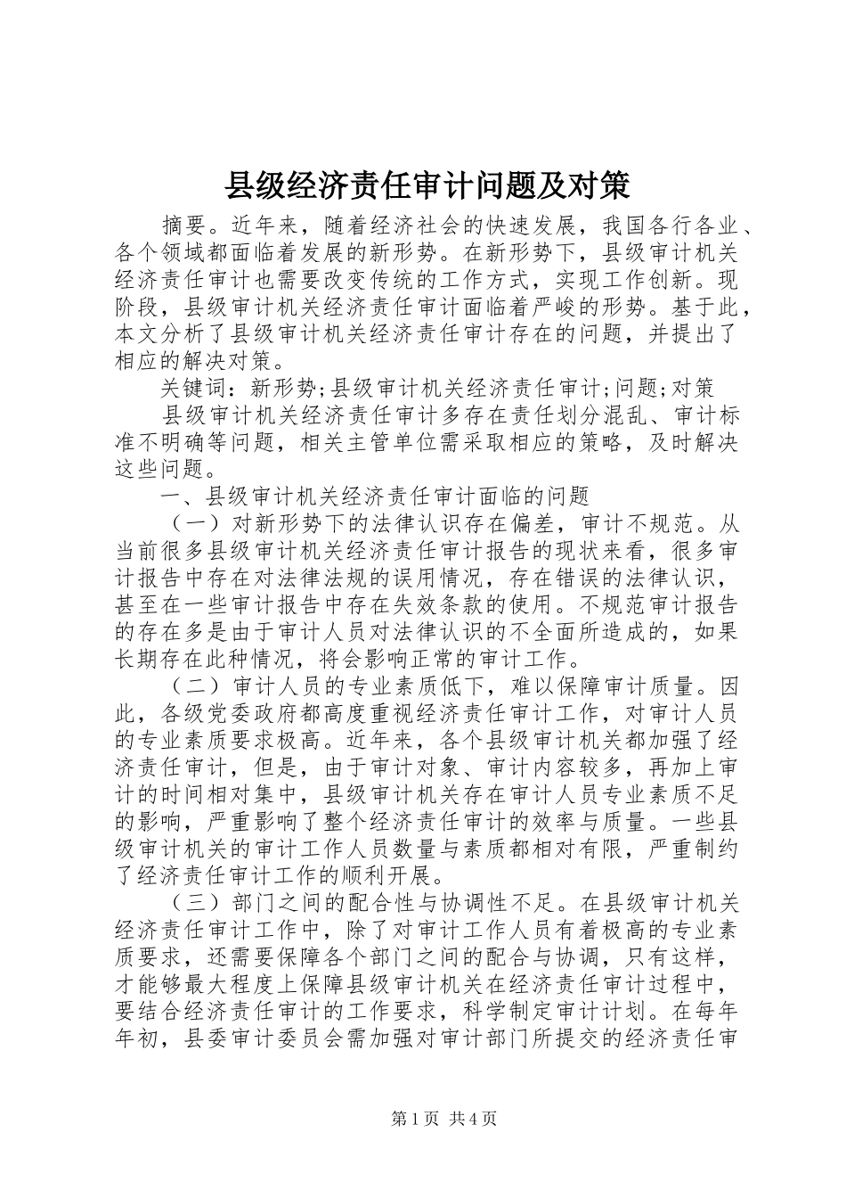2024年县级经济责任审计问题及对策_第1页