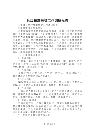 2024年县级精准扶贫工作调研报告