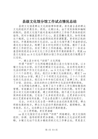 2024年县级文化馆分馆工作试点情况总结
