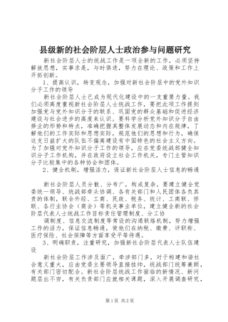 2024年县级新的社会阶层人士政治参与问题研究