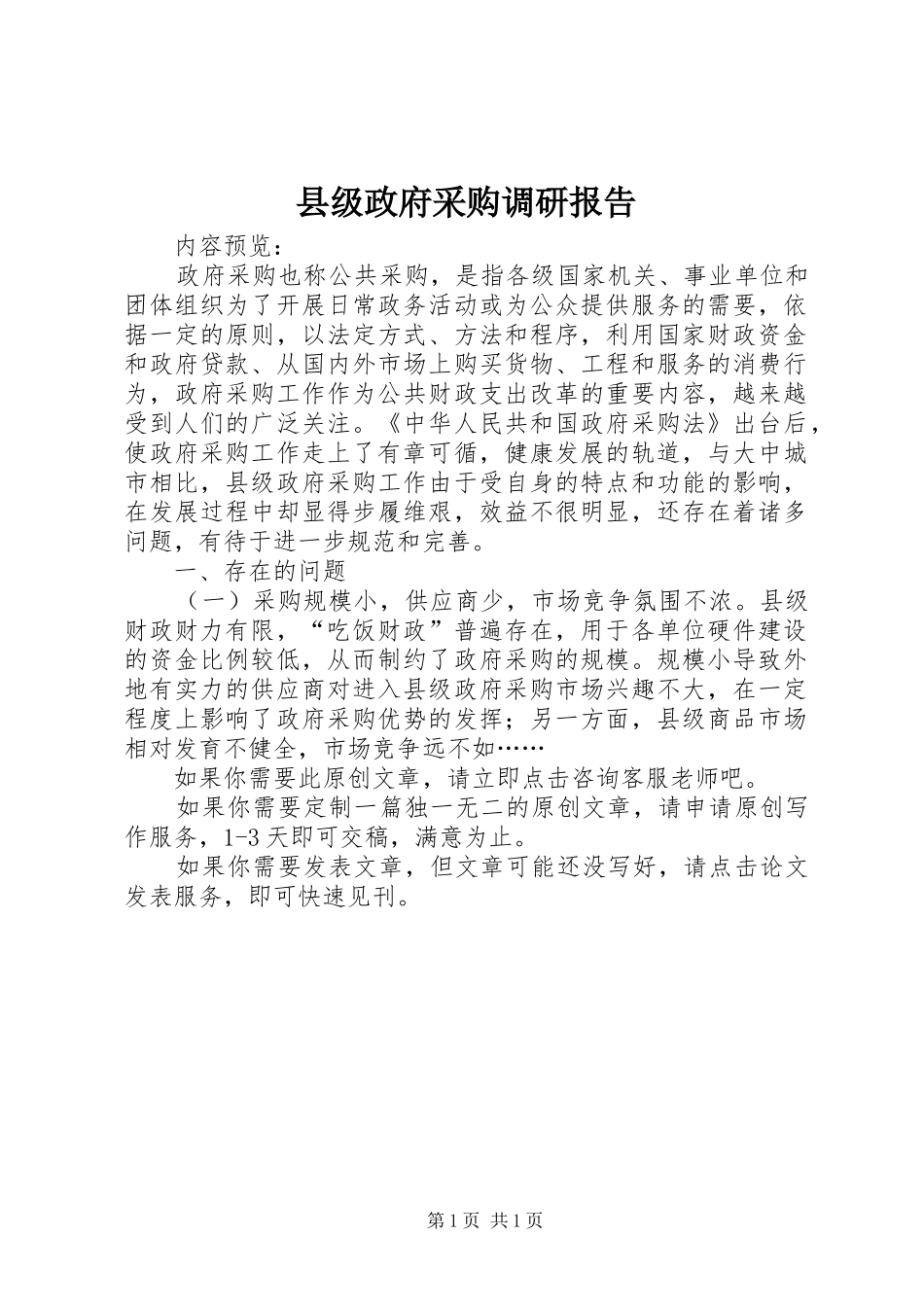 2024年县级政府采购调研报告_第1页