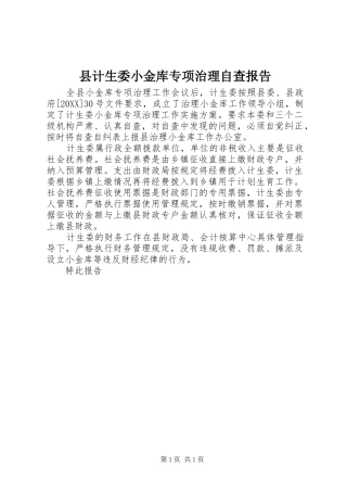 2024年县计生委小金库专项治理自查报告