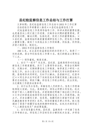 2024年县纪检监察信息工作总结与工作打算