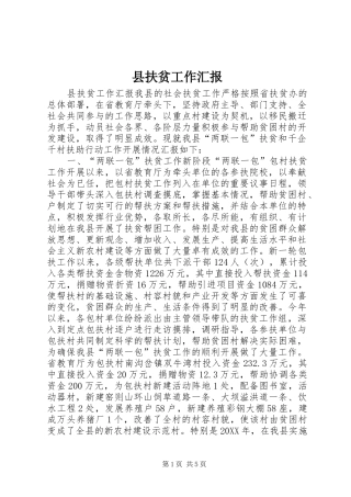 2024年县扶贫工作汇报