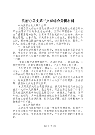 2024年县府办总支第三支部综合分析材料