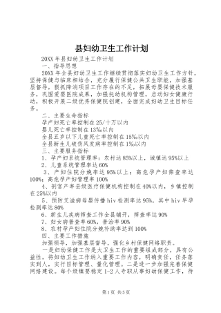 2024年县妇幼卫生工作计划