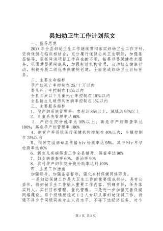 2024年县妇幼卫生工作计划范文