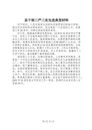 2024年县干部三严三实先进典型材料