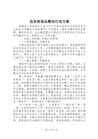 2024年县各校食品整治行动方案