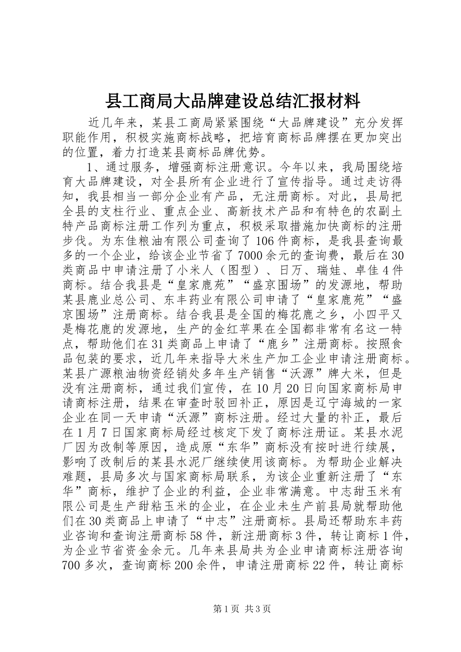 2024年县工商局大品牌建设总结汇报材料_第1页