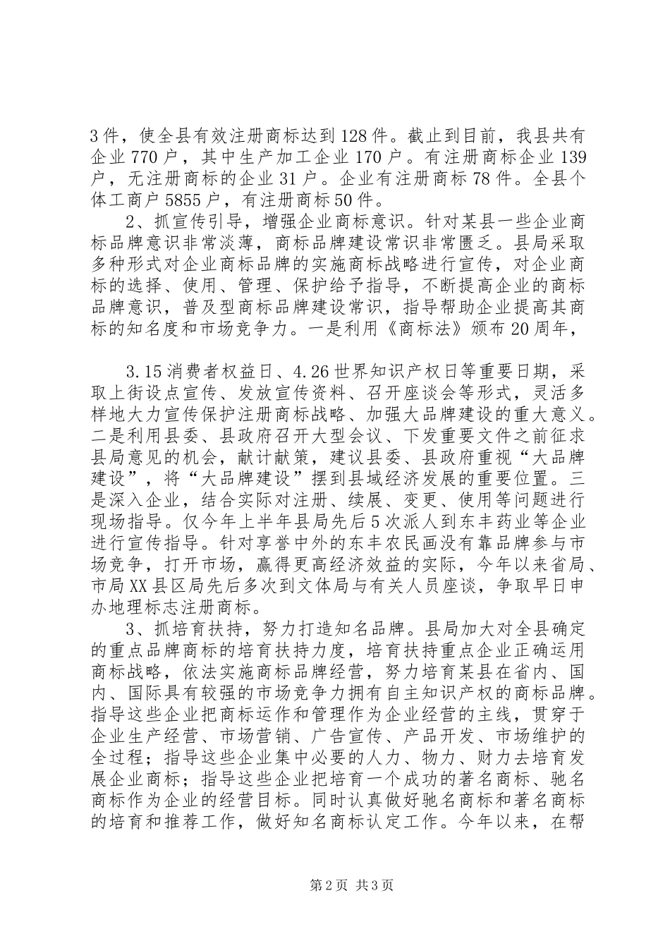 2024年县工商局大品牌建设总结汇报材料_第2页