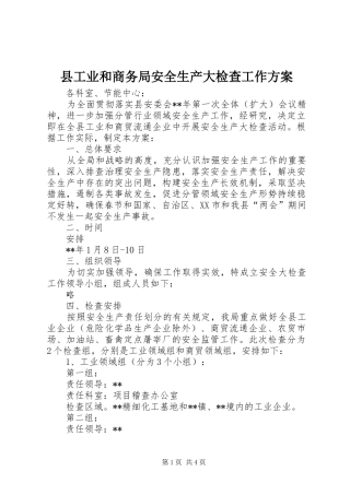 2024年县工业和商务局安全生产大检查工作方案