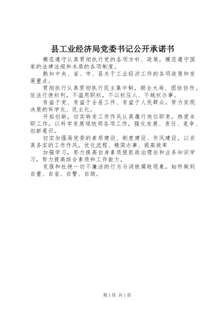 2024年县工业经济局党委书记公开承诺书