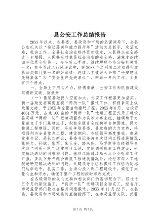 2024年县公安工作总结报告