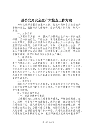 2024年县公安局安全生产大检查工作方案