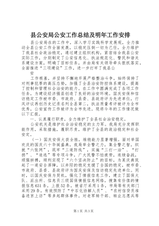 2024年县公安局公安工作总结及明年工作安排