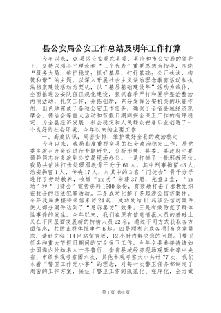 2024年县公安局公安工作总结及明年工作打算