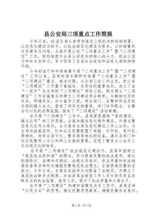 2024年县公安局三项重点工作简报