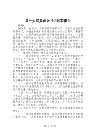 2024年县公安局委员会书记述职报告