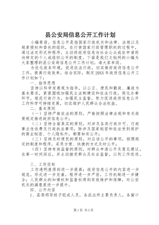 2024年县公安局信息公开工作计划