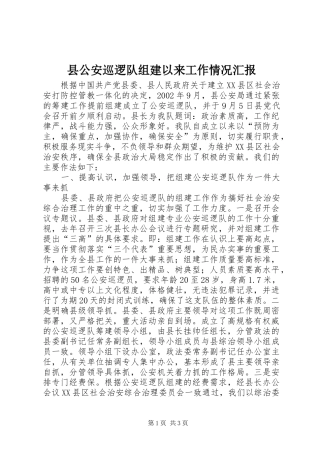 2024年县公安巡逻队组建以来工作情况汇报