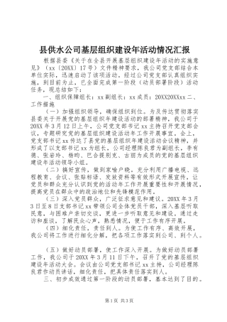 2024年县供水公司基层组织建设年活动情况汇报