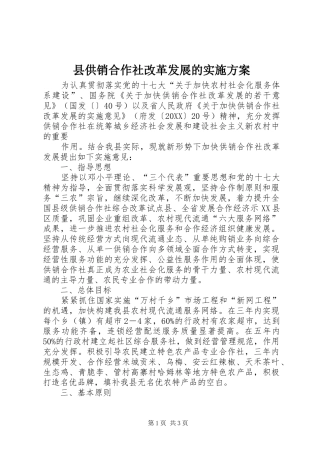 2024年县供销合作社改革发展的实施方案