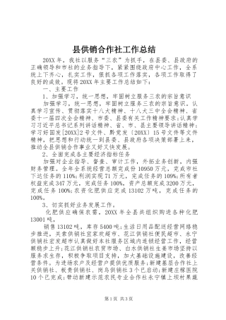 2024年县供销合作社工作总结