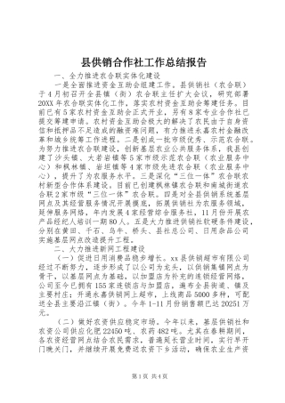 2024年县供销合作社工作总结报告