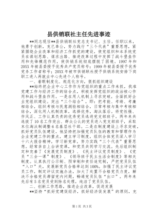 2024年县供销联社主任先进事迹