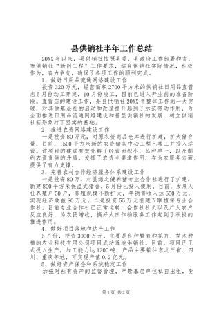 2024年县供销社半年工作总结
