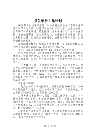 2024年县供销社工作计划