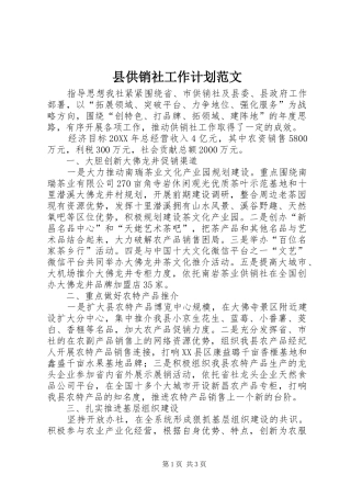 2024年县供销社工作计划范文