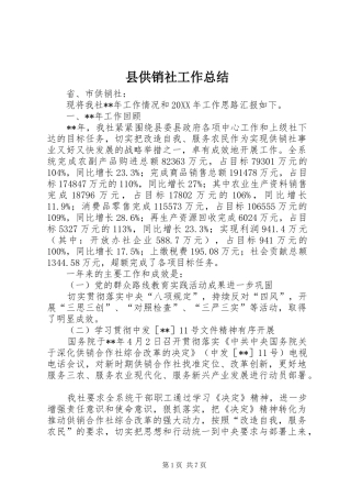 2024年县供销社工作总结