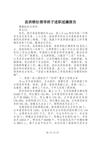 2024年县供销社领导班子述职述廉报告